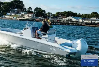 Thumbnail von Boston Whaler 220 Dauntless