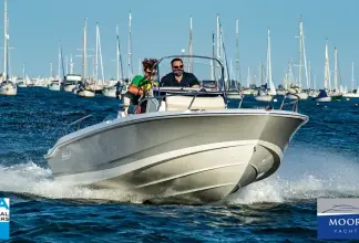 Thumbnail von Boston Whaler 220 Dauntless