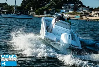 Thumbnail von Boston Whaler 220 Dauntless