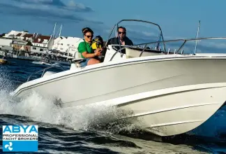 Thumbnail von Boston Whaler 220 Dauntless