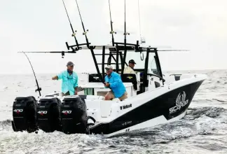 Thumbnail von Wellcraft Fisherman 352