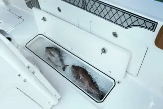 Thumbnail von Wellcraft Fisherman 302