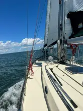 Thumbnail von Alajuela 38 Narnia