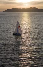 Thumbnail von Catalina 446 Order Today!