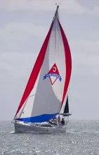 Thumbnail von Catalina 316 Available to Order to your Specs