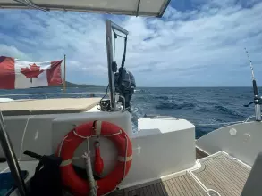 Thumbnail von Fountaine Pajot Salina 48 Evolution Northern Lynx