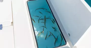 Thumbnail von Hewes 21 Redfisher