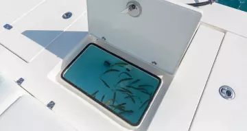 Thumbnail von Hewes 21 Redfisher