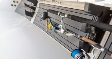 Thumbnail von Hewes 21 Redfisher