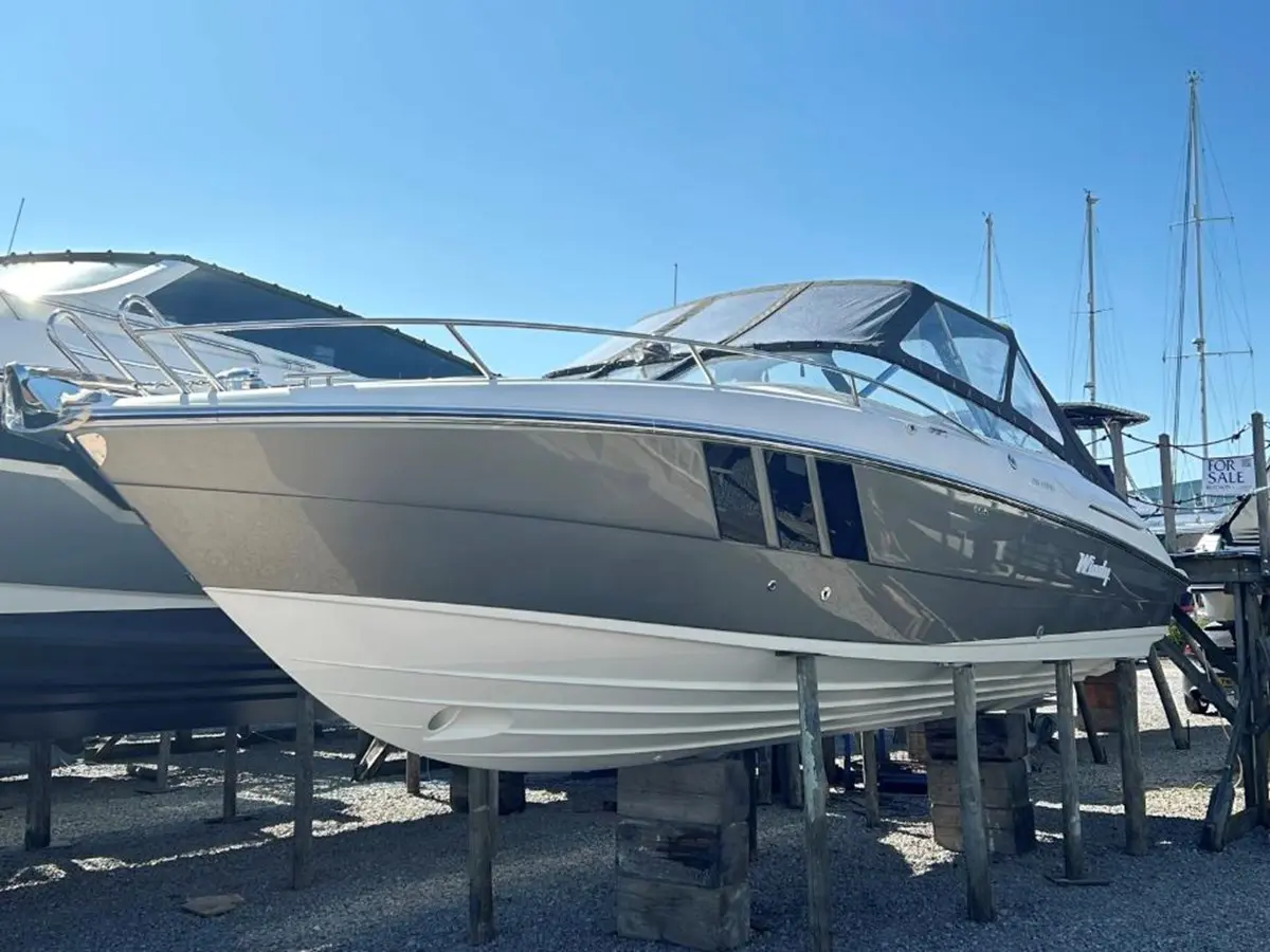 Windy 29 Coho MANIFESTO