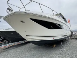 Thumbnail von Sea Ray 320 Sundancer