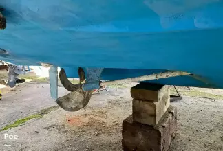 Thumbnail von Sea Ray 330 Sundancer