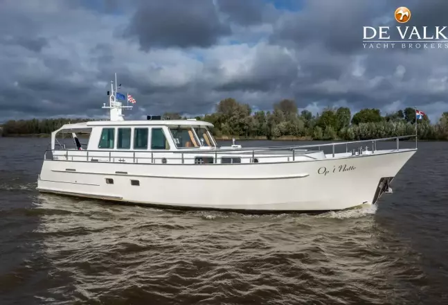 Stentor Survey 15 OC 