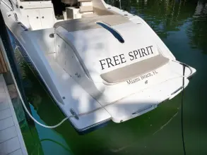 Thumbnail von Pursuit 365I SC Free Spirit