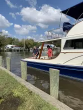 Thumbnail von Mathews 40