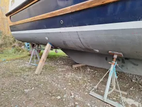 Thumbnail von Nelson 40  Aquila