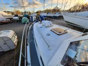 Thumbnail von Nelson 40  Aquila