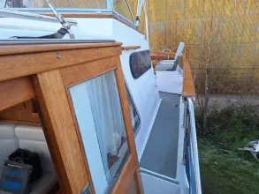 Thumbnail von Nelson 40  Aquila