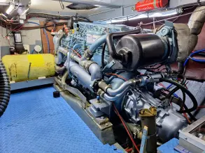 Thumbnail von Nelson 40  Aquila