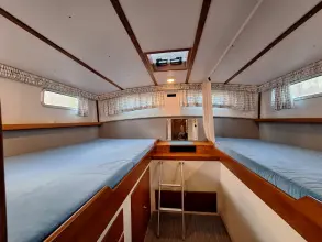 Thumbnail von Nelson 40  Aquila