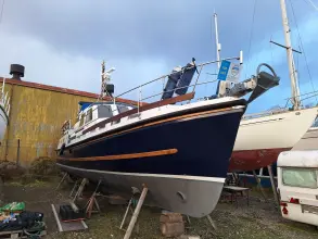 Thumbnail von Nelson 40  Aquila