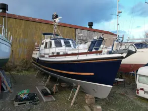 Thumbnail von Nelson 40  Aquila