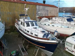 Thumbnail von Nelson 40  Aquila