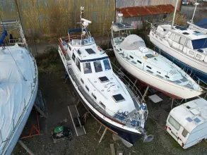 Thumbnail von Nelson 40  Aquila