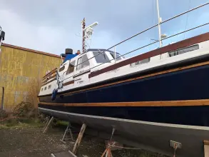 Thumbnail von Nelson 40  Aquila