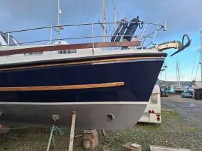 Thumbnail von Nelson 40  Aquila