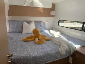 Thumbnail von Excess 11 Available For Immediate Delivery