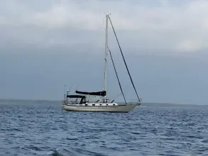 Thumbnail von Pacific Seacraft Crealock 37 Adventure'n