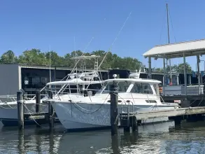 Thumbnail von Back Cove 34 No Pressure