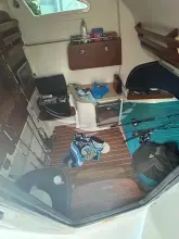 Thumbnail von Grady White 366 Canyon