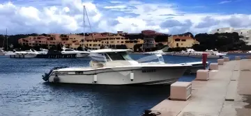 Thumbnail von Grady White 366 Canyon