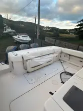 Thumbnail von Grady White 366 Canyon