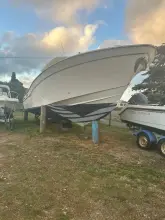 Thumbnail von Grady White 366 Canyon