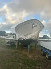 Thumbnail von Grady White 366 Canyon