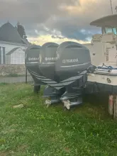 Thumbnail von Grady White 366 Canyon