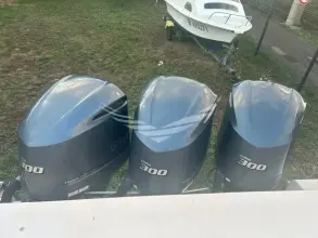 Thumbnail von Grady White 366 Canyon