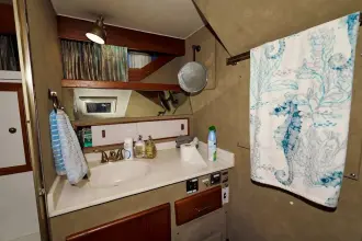 Thumbnail von Pacemaker 69 Camelot