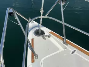 Thumbnail von Santa Cruz 52 MEDUSA