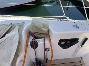 Thumbnail von Santa Cruz 52 MEDUSA