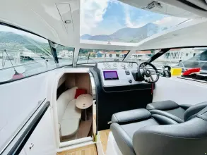 Thumbnail von Focus Power 36