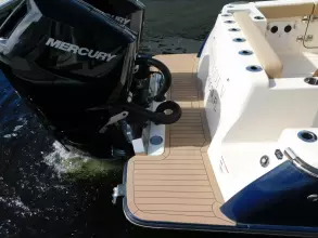 Thumbnail von Scout 33 LXF