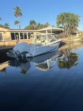 Thumbnail von Blackfin 30