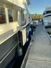 Thumbnail von Integrity 45 MARIPOSA