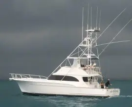 Thumbnail von Sunny Briggs Flybridge Sportfish LOW BIDDER X