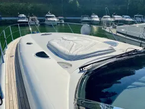 Thumbnail von Sunseeker Predator 56 BLUE PASSION