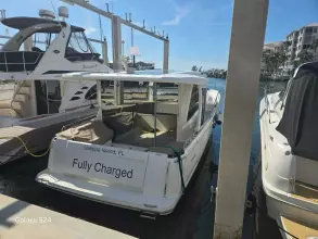 Thumbnail von Greenline 39 Fully Charged